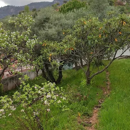 Holiday home Casa Jabero